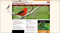 All-About-Birds-200w